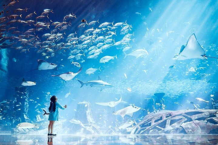 Atlantis Lost-Chamber Aquarium Dubai - Photo 1 of 15